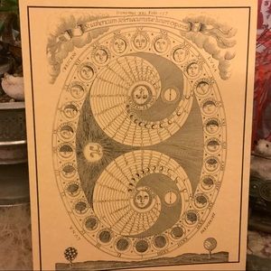 Meet your Posher, Dominique